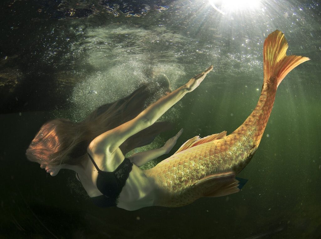 Arqu Tipo Da Sereia Atra O Beleza E Sensualidade Seja Mais